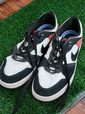 Nike SB Alleyoop In The White  University Red Colorway Low Top Sneakers For MEN'